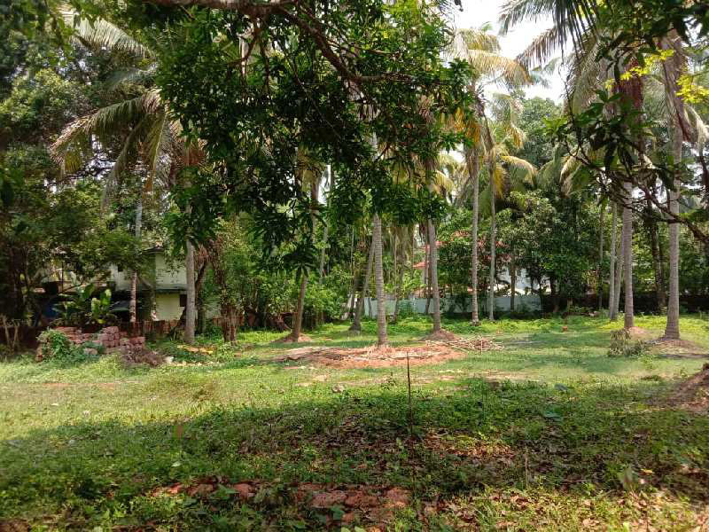 10 Cent Residential Plot For Sale In Feroke Kozhikode REI1090165