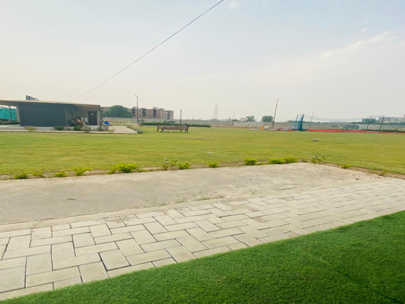 150 Sq Yards Residential Plot For Sale In Aerocity Mohali REI1161035