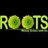 Roots Consultants