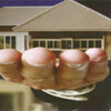 BISWAS PROPERTIES