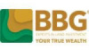 BBG