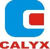 Calyx Projects India (P) Ltd.