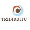 Tridhaatu