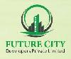Future City Developers Pvt. Ltd.