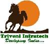 Triveni Infratech Pvt. Ltd.