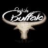 White Buffalo Real Esate & Rentals