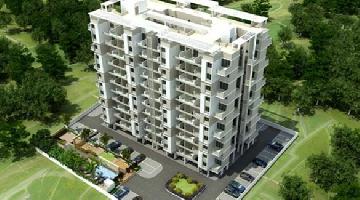 Ongoing Projects