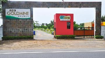 VGP Gold Mine Avenue