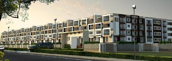 Ongoing Projects