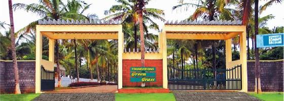 Foundations Green Grass