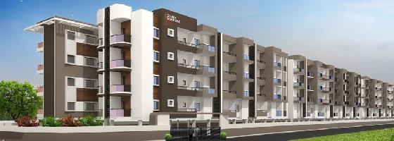 DS-MAX SILVER OAK