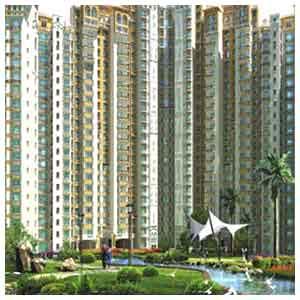 Amrapali Smart City, Noida - Residential Homes
