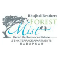 Forest Mist