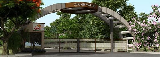 AVS Ozone Valley