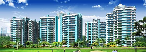 Aims Golf City