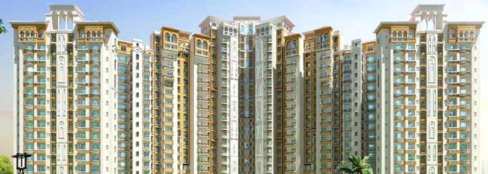 Amrapali Sapphire, Noida - 2 & 3 BHK Apartments