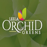 Orchid Greens