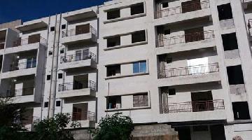 Ongoing Projects