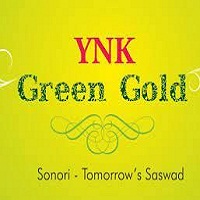 YNK Green Gold
