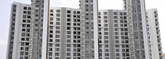 Moon Court