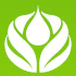 Dholera 955
