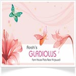 Aarohi Gladiolus