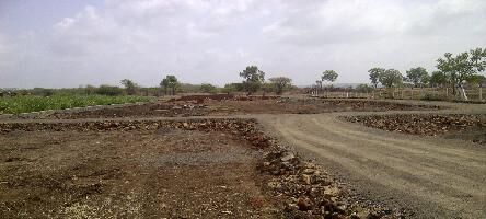 Aarohi Parijaat