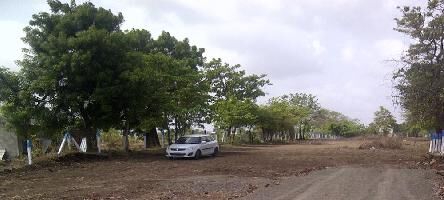 Aarohi Parijaat