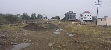 Aarohi Iris Valley