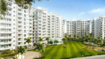 Jain Dream Valley