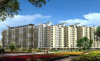 SBP Southcity