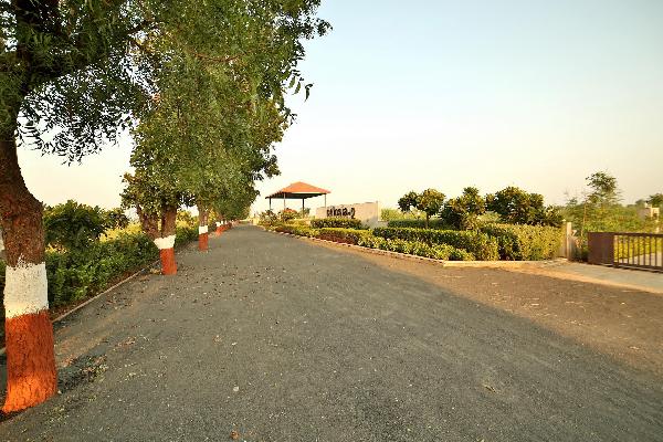 Maruti Celosia Greenscapes 2, Ahmedabad - Maruti Celosia Greenscapes 2