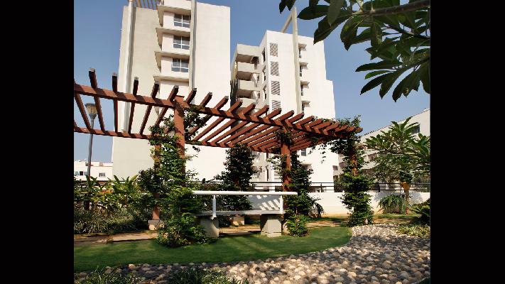 Rohan Mihira, Bangalore - Rohan Mihira