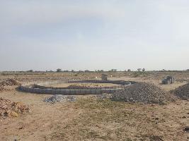 Avani Kothaivanam