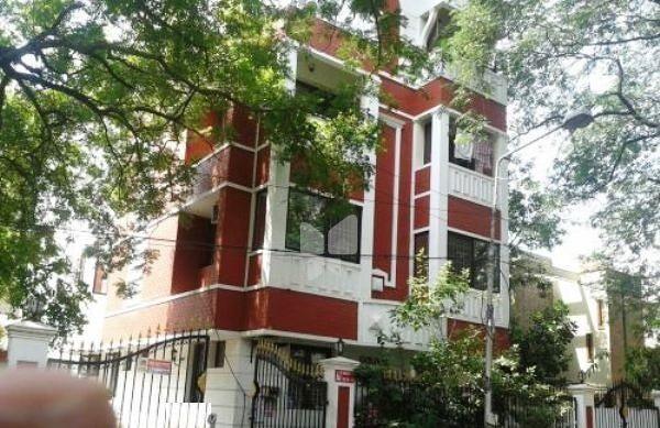 Golden Carnation, Chennai - Golden Carnation
