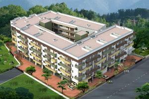 Kataria Paradise