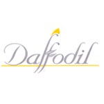 Daffodil Daffodil Blooms