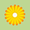 Pioneer Sun Blossom