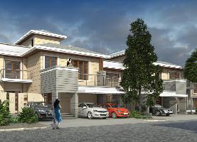 Prestige Silver Springs
