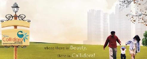 Today Homes Callidora