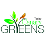 Today Homes Canary Greens
