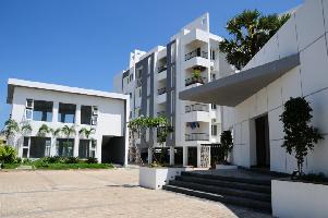 Elegant Palmera Garden