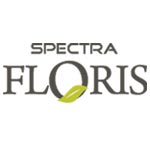 Spectra Floris