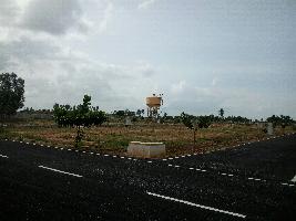 SREE SAI SAMRUDHI