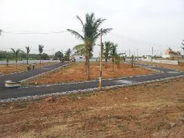 SLV Cocogroove Layout