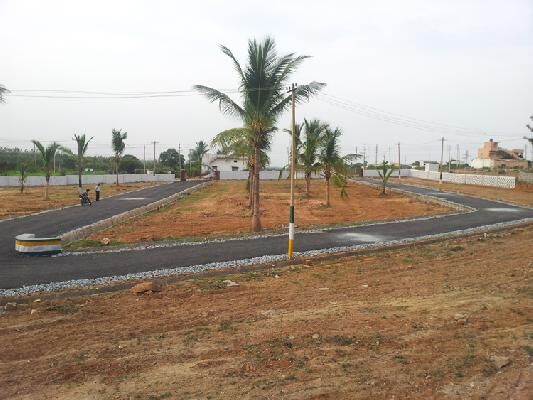 SLV Cocogroove Layout, Bangalore - SLV Cocogroove Layout