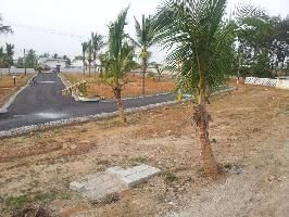 SLV Cocogroove Layout