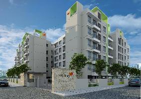 Ongoing Projects