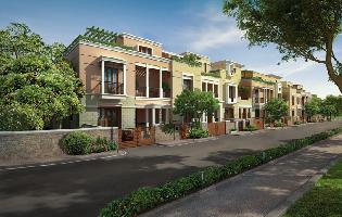 Luxora Park House Holistic