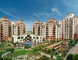 Vipul Gardens